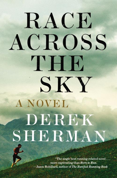 Cover of the book Race Across the Sky by Derek Sherman, Penguin Publishing Group