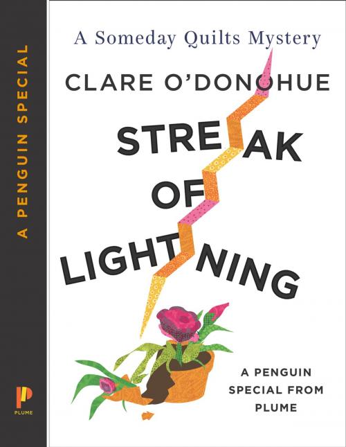 Cover of the book Streak of Lightning by Clare O'Donohue, Penguin Publishing Group