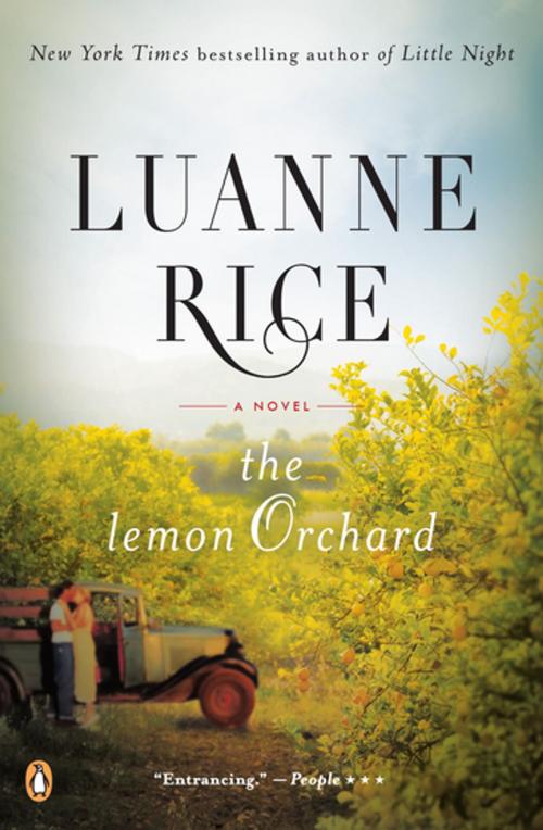 Cover of the book The Lemon Orchard by Luanne Rice, Penguin Publishing Group