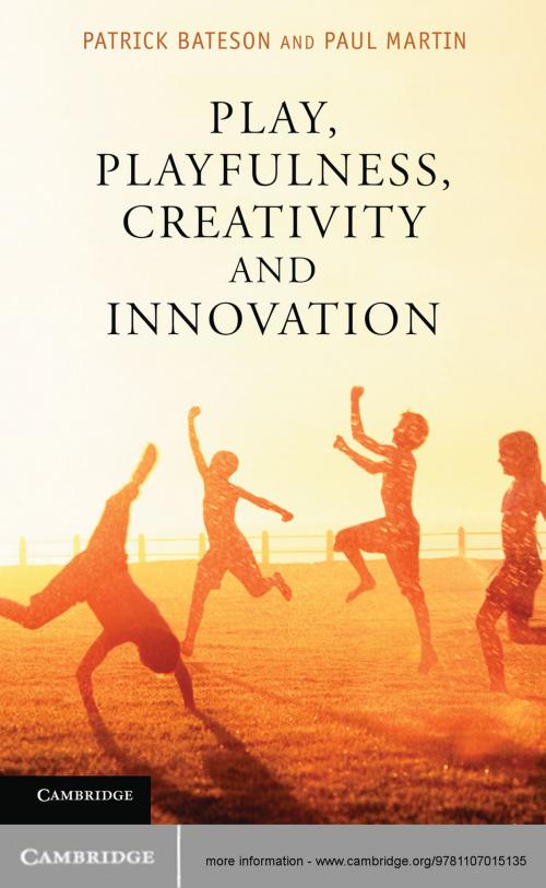 Cover of the book Play, Playfulness, Creativity and Innovation by Patrick Bateson, Paul Martin, Cambridge University Press