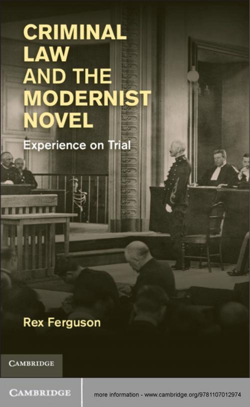 Cover of the book Criminal Law and the Modernist Novel by Rex Ferguson, Cambridge University Press