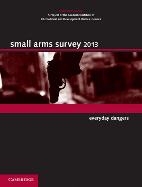 Cover of the book Small Arms Survey 2013 by Small Arms Survey, Geneva, Cambridge University Press