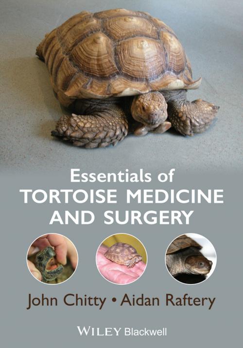 Cover of the book Essentials of Tortoise Medicine and Surgery by John Chitty, Aidan Raftery, Wiley