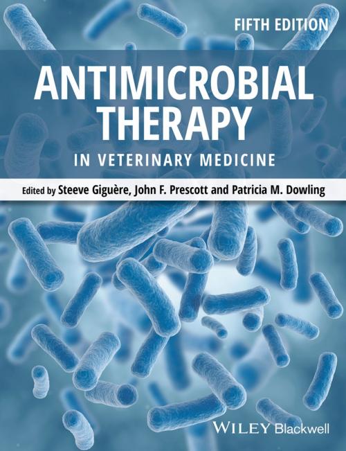 Cover of the book Antimicrobial Therapy in Veterinary Medicine by , Wiley