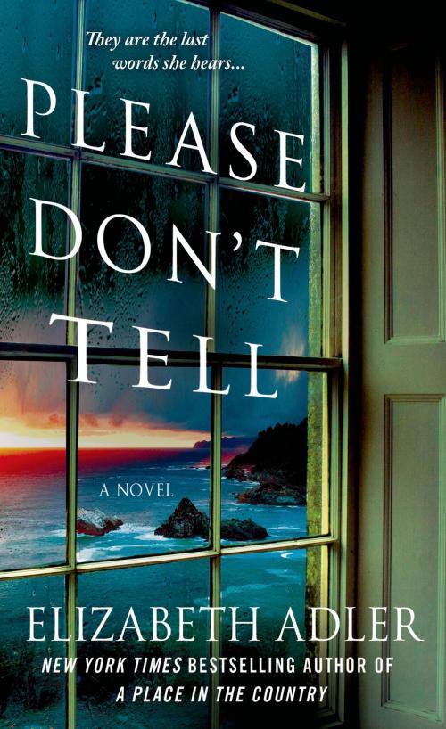 Cover of the book Please Don't Tell by Elizabeth Adler, St. Martin's Press