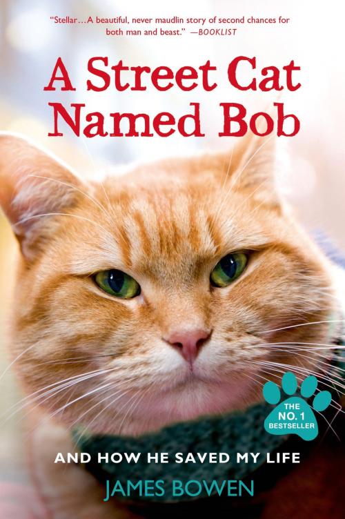 Cover of the book A Street Cat Named Bob by James Bowen, St. Martin's Press