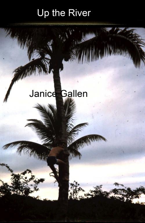 Cover of the book Up The River by Janice Gallen, Janice Gallen