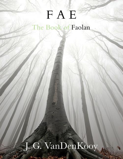 Cover of the book Fae: The Book of Faolan by J.G. VanDenKooy, J.G. VanDenKooy