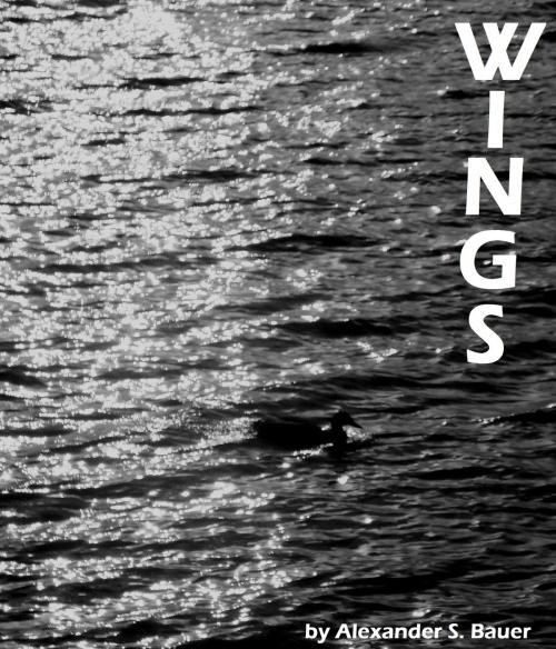 Cover of the book Wings by Alexander S. Bauer, Alexander S. Bauer