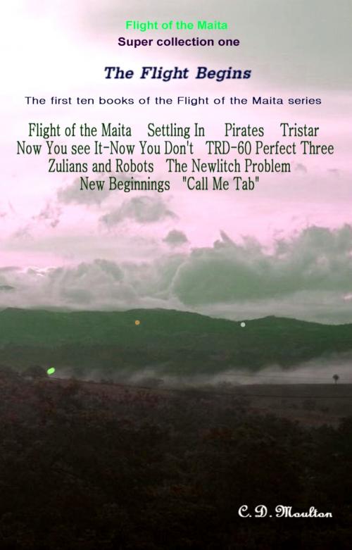 Cover of the book The Flight Begins by CD Moulton, CD Moulton