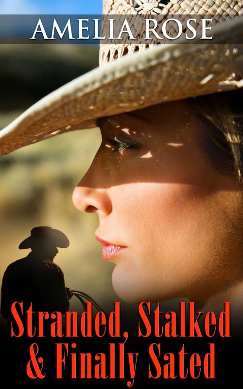 Cover of the book Stranded, Stalked And Finally Sated by Amelia Rose, Gold Crown