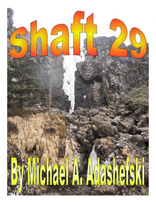 Cover of the book Shaft 29 by Michael Adashefski, Michael Adashefski