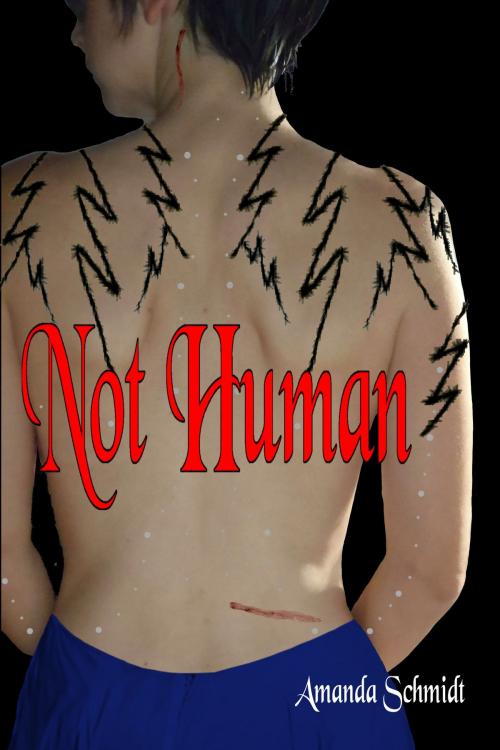 Cover of the book Not Human by Amanda Schmidt, Amanda Schmidt