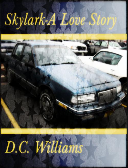 Cover of the book Skylark-A Love Story by D.C. Williams, D.C. Williams