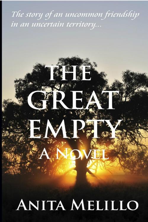 Cover of the book The Great Empty by Anita Melillo, Anita Melillo