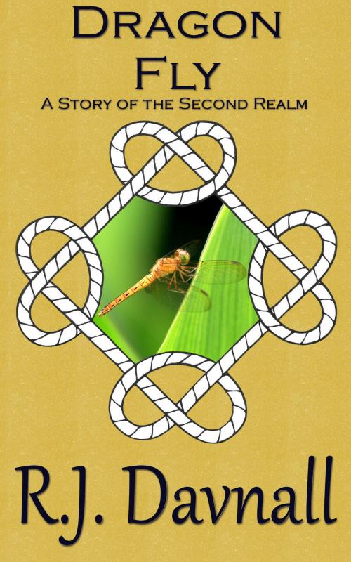 Cover of the book Dragon Fly by R. J. Davnall, R. J. Davnall
