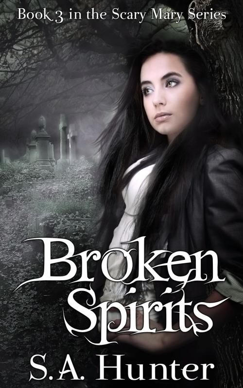 Cover of the book Broken Spirits by S.A. Hunter, S.A. Hunter