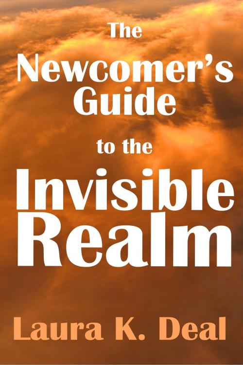 Cover of the book The Newcomer's Guide to the Invisible Realm: A Journey Through Dreams, Metaphor, and Imagination by Laura K. Deal, Laura K. Deal