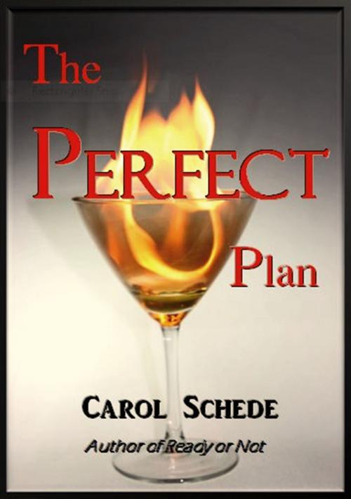 Cover of the book The Perfect Plan by Carol Schede, Carol Schede
