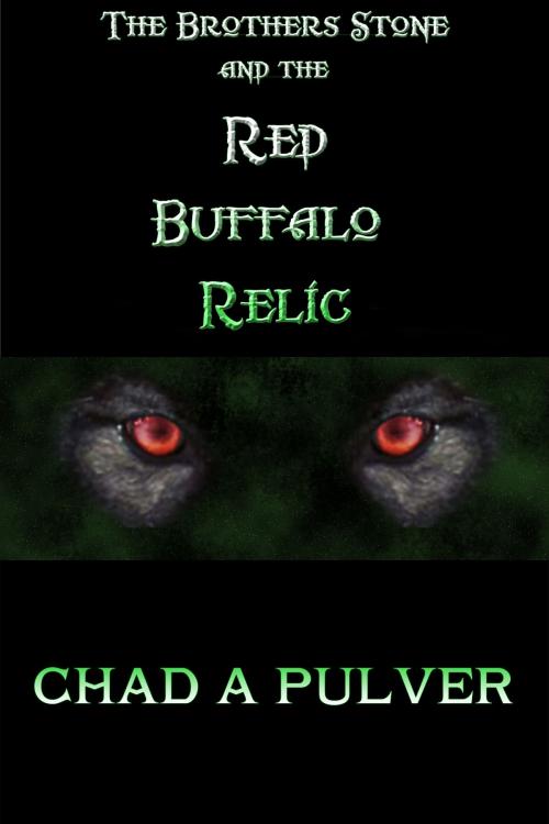 Cover of the book The Brothers Stone and the Red Buffalo Relic by Chad Pulver, Chad Pulver
