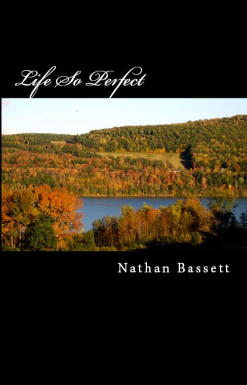 Cover of the book Life So Perfect by Nathan Bassett, Nathan Bassett