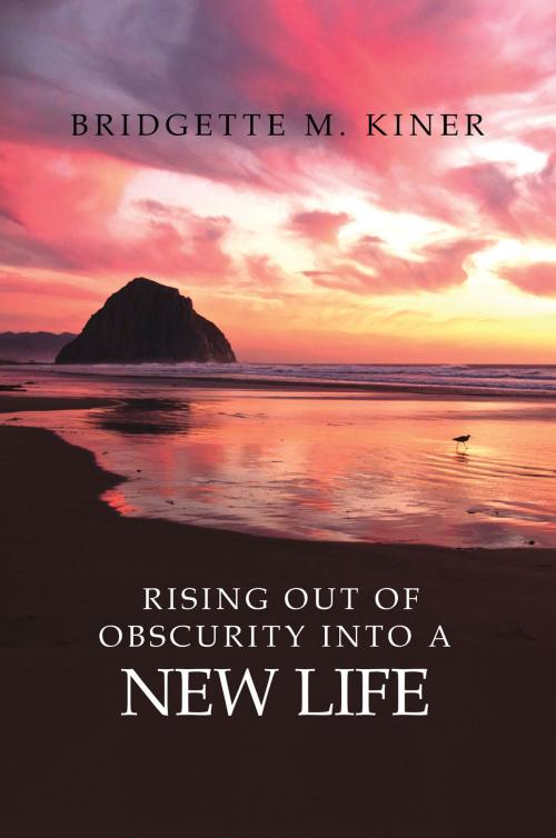 Cover of the book Rising Out of Obscurity into a New Life by Bridgette Kiner, Bridgette Kiner