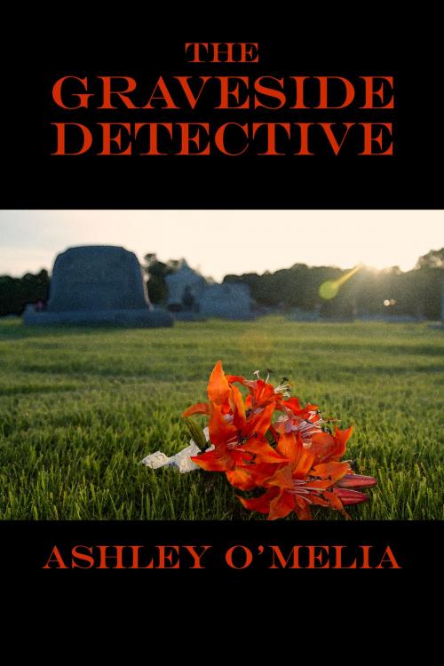 Cover of the book The Graveside Detective by Ashley O'Melia, Ashley O'Melia