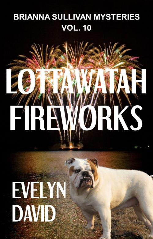 Cover of the book Lottawatah Fireworks by Evelyn David, Evelyn David