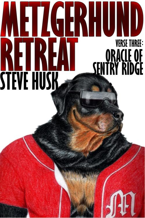 Cover of the book Oracle of Sentry Ridge by Steve Husk, Steve Husk