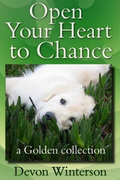 Cover of the book Open Your Heart to Chance: a Golden collection by Devon Winterson, Devon Winterson