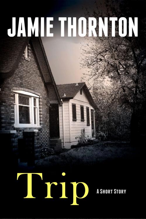 Cover of the book Trip by Jamie Thornton, Jamie Thornton