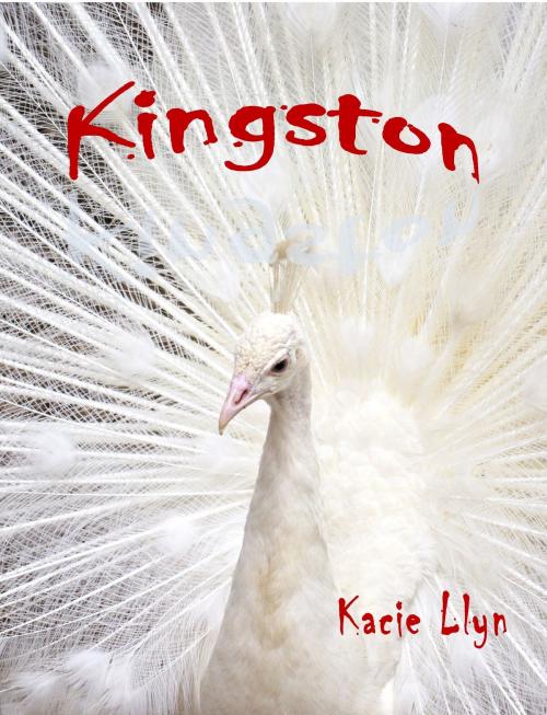Cover of the book Kingston by Kacie Llyn, Kacie Llyn