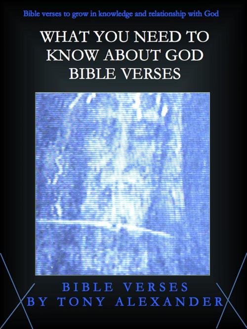 Cover of the book What You Need to Know About God Bible Verses by Tony Alexander, Tony Alexander