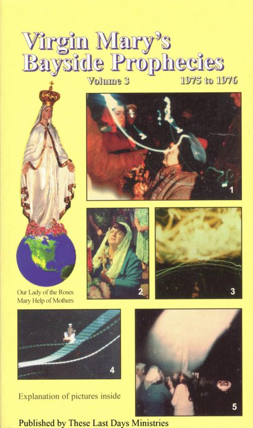 Cover of the book Virgin Mary’s Bayside Prophecies: Volume 3 of 6 - 1975 to 1976 by These Last Days Ministries, These Last Days Ministries