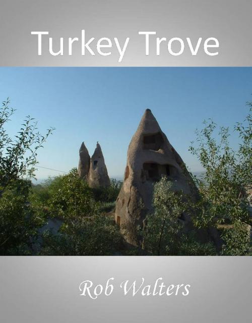 Cover of the book Turkey Trove by Rob Walters, Rob Walters