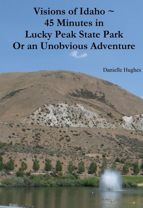 Cover of the book Visions of Idaho ~ 45 Minutes in Lucky Peak State Park Or an Unobvious Adventure by Danielle Hughes, Danielle Hughes