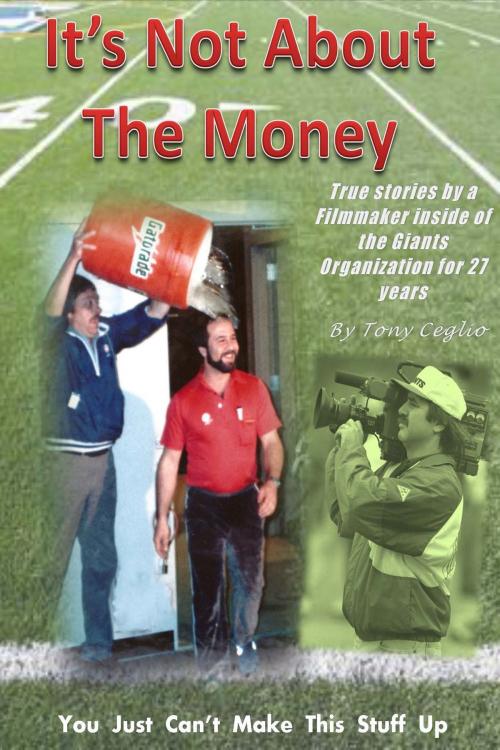 Cover of the book It's Not About The Money by Tony Ceglio, Tony Ceglio