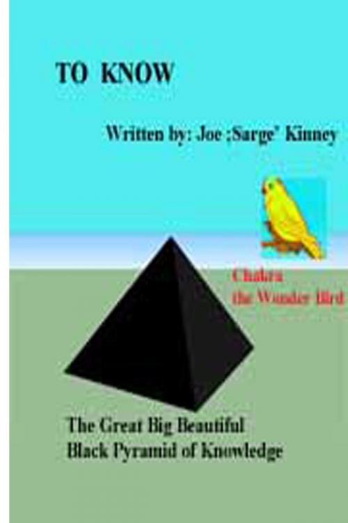 Cover of the book "To Know" by Joe Sarge Kinney, Joe Sarge Kinney