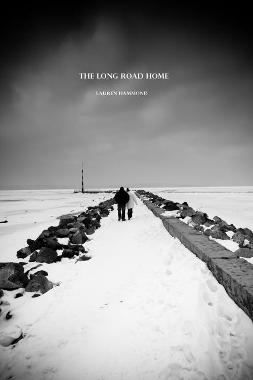 Cover of the book The Long Road Home by Lauren Hammond, Lauren Hammond