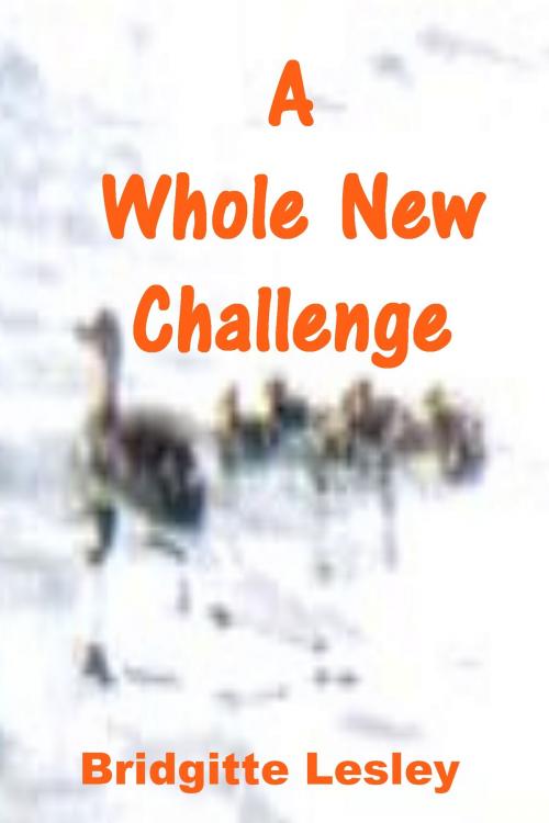 Cover of the book A Whole New Challenge by Bridgitte Lesley, Bridgitte Lesley