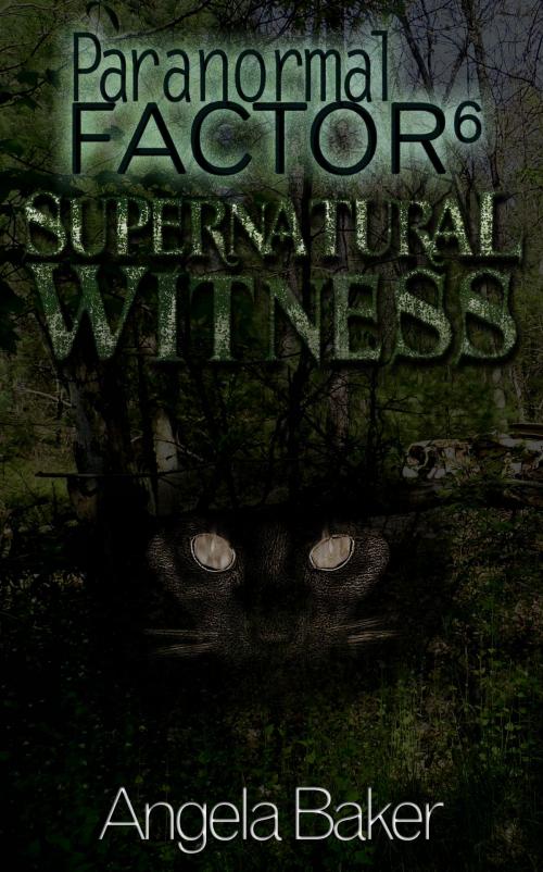 Cover of the book Paranormal Factor 6 Supernatural Witness by Angela Baker, Angela Baker