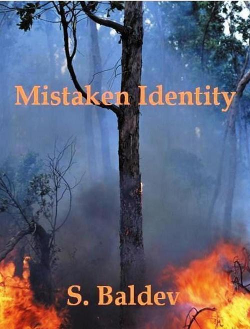 Cover of the book Mistaken Identity by S. Baldev, S. Baldev