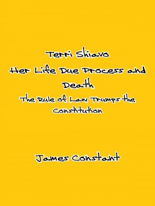Cover of the book Terri Shiavo: Her Life Due Process and Death by James Constant, James Constant