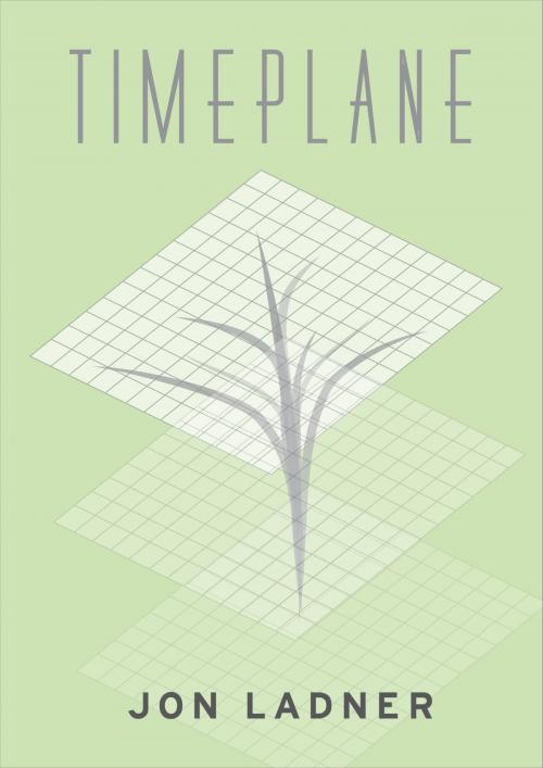 Cover of the book Timeplane by Jon Ladner, Jon Ladner
