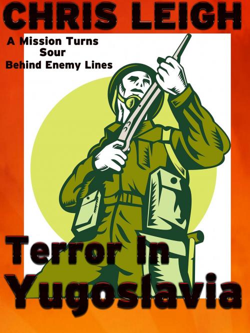 Cover of the book Terror In Yugoslavia by Chris Leigh, BLK Publishing
