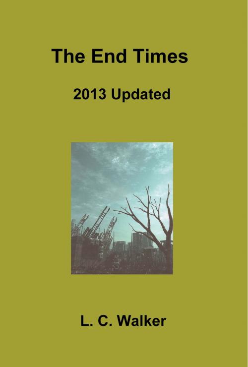 Cover of the book 2013 Update by L C Walker, L C Walker