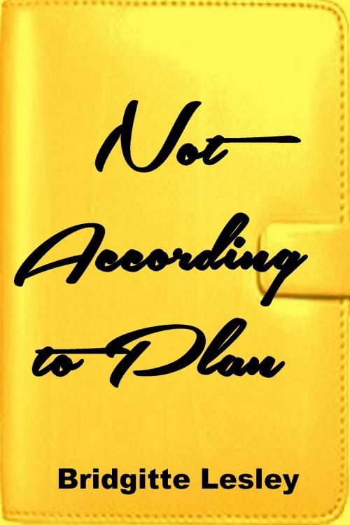 Cover of the book Not According to Plan by Bridgitte Lesley, Bridgitte Lesley