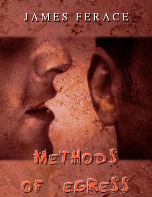 Cover of the book Methods of Egress by James Ferace, Lulu.com
