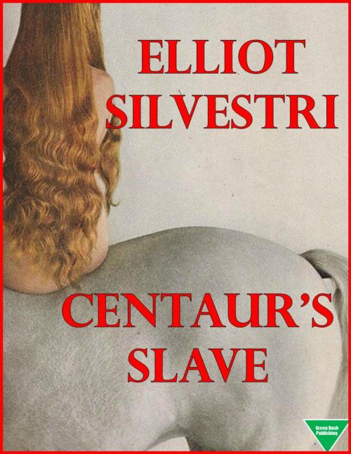 Cover of the book Centaur's Slave by Elliot Silvestri, Elliot Silvestri