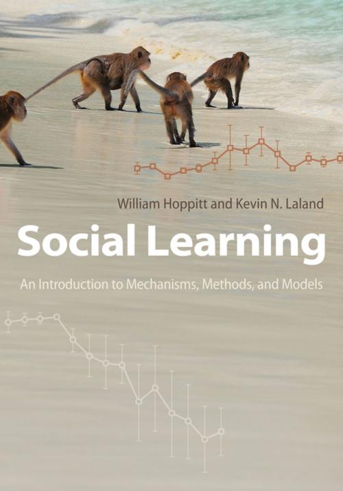 Cover of the book Social Learning by William Hoppitt, Kevin N. Laland, Princeton University Press